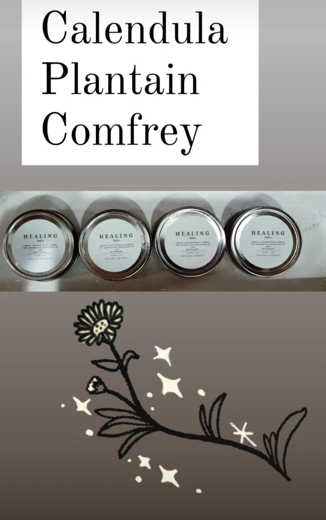 Healing Salve Unscented