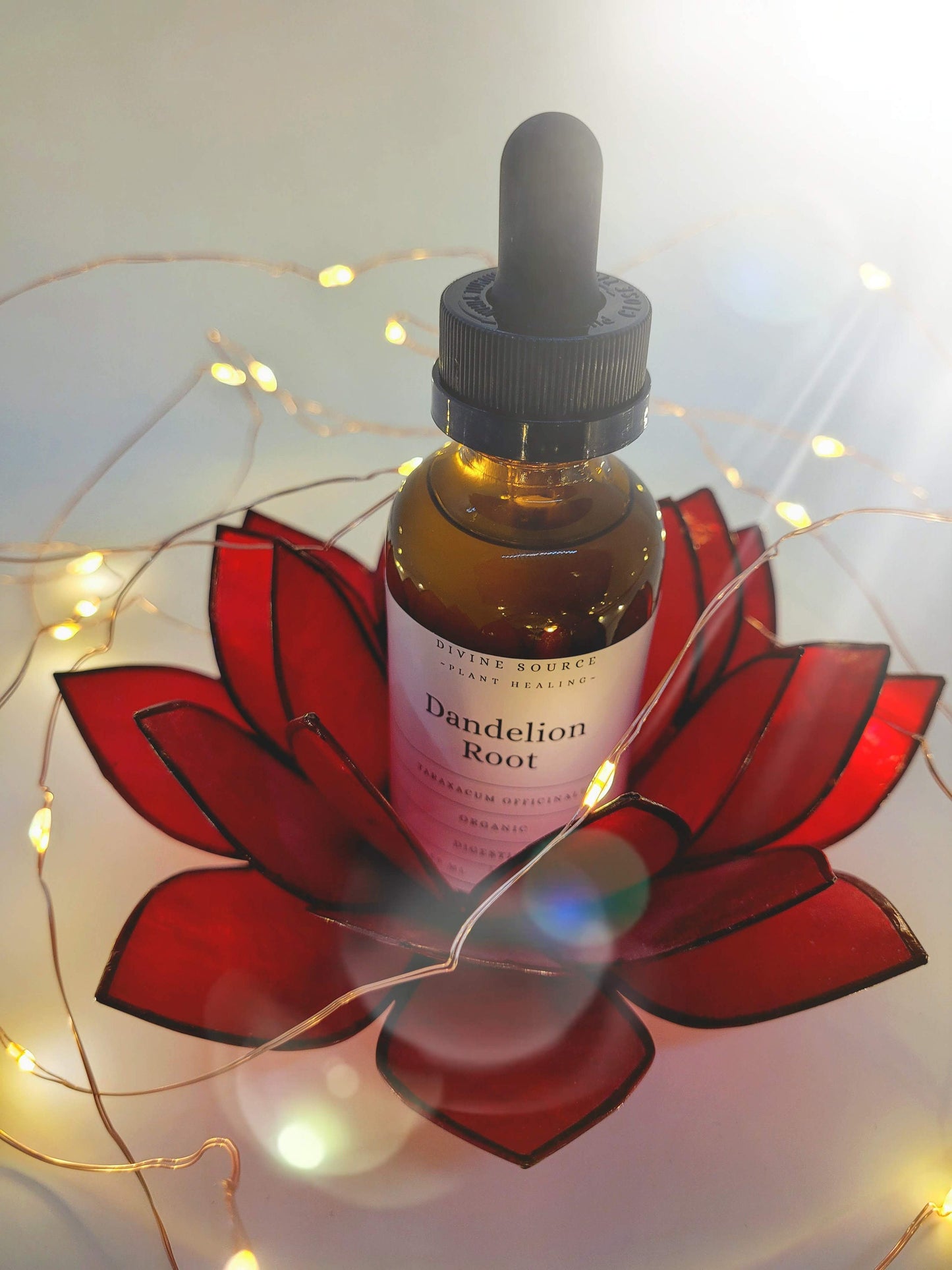 Dandelion Root Tincture - Organic