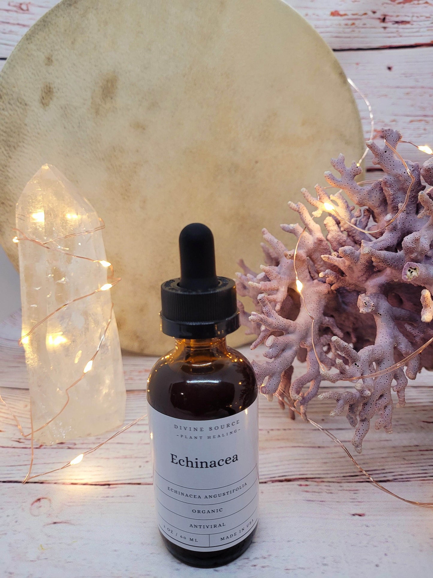 Echinacea Tincture - Organic