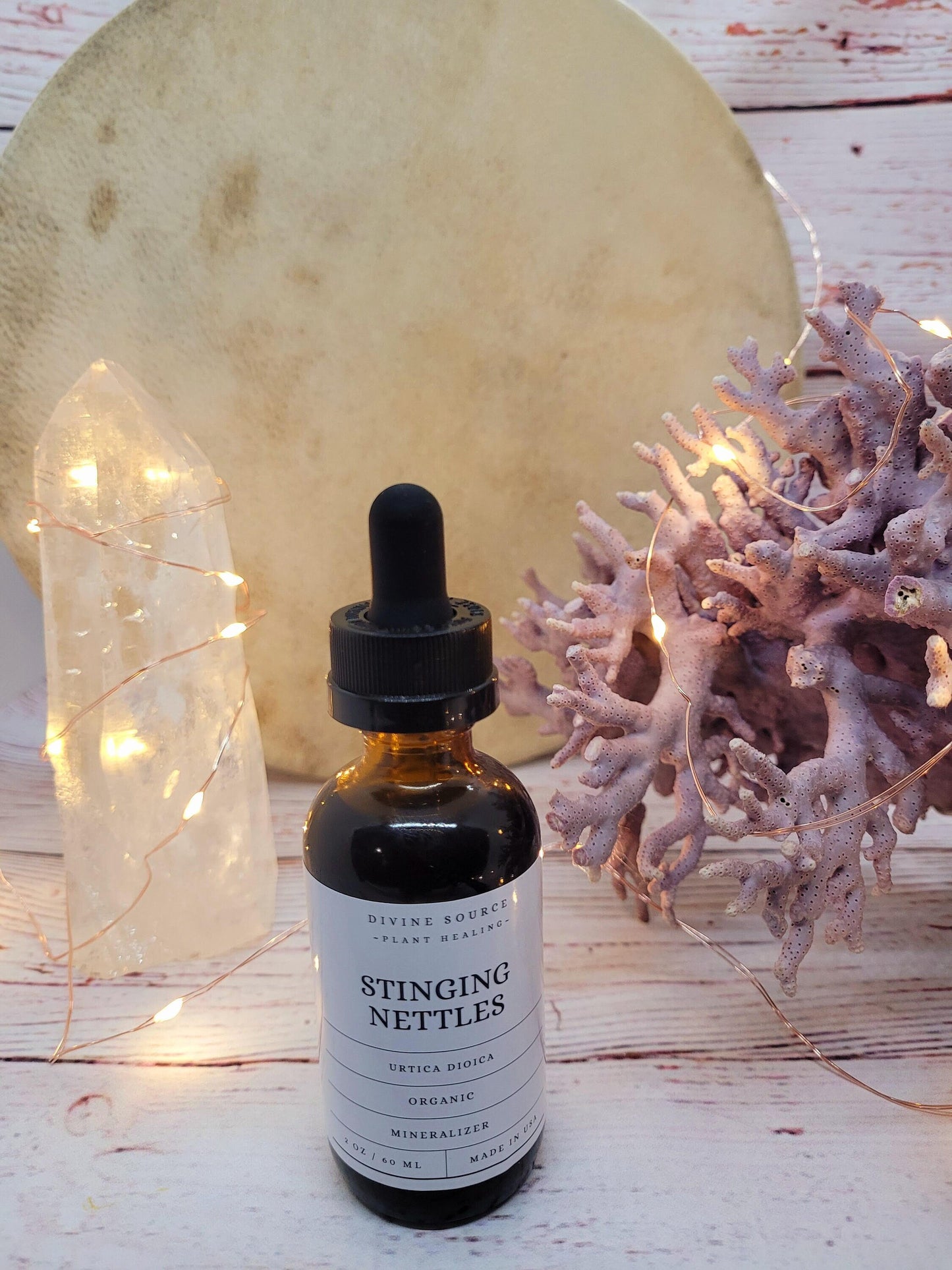 Stinging Nettle - Organic