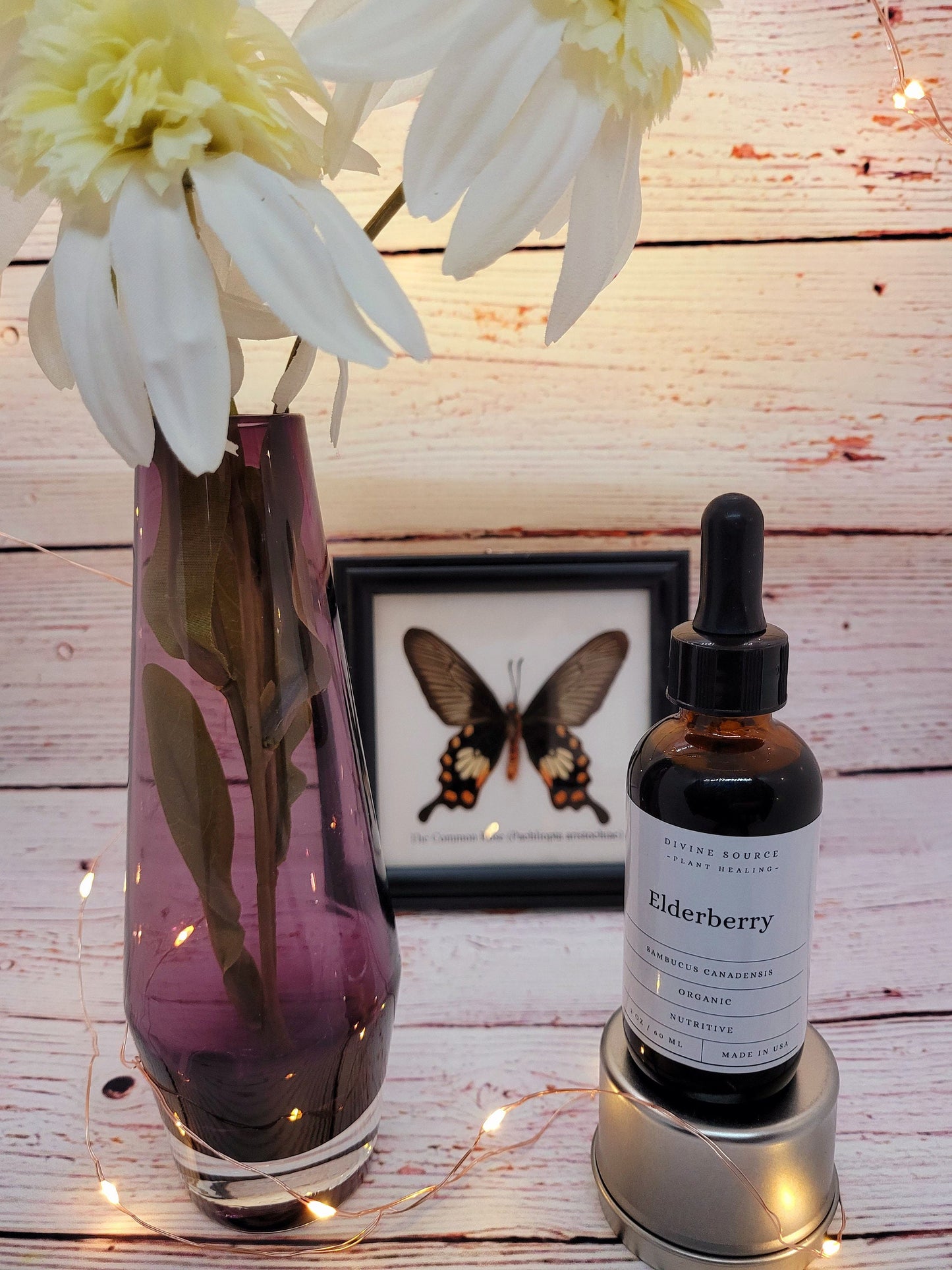 Elderberry Tincture - 2oz -SALE