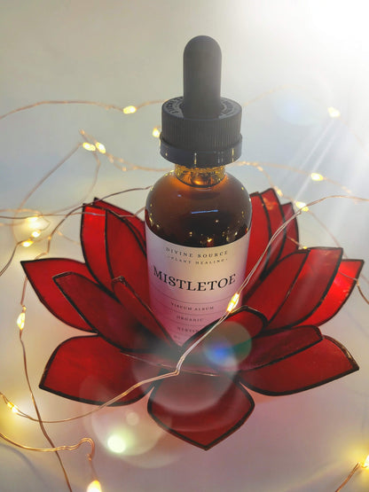 Mistletoe Tincture - Organic