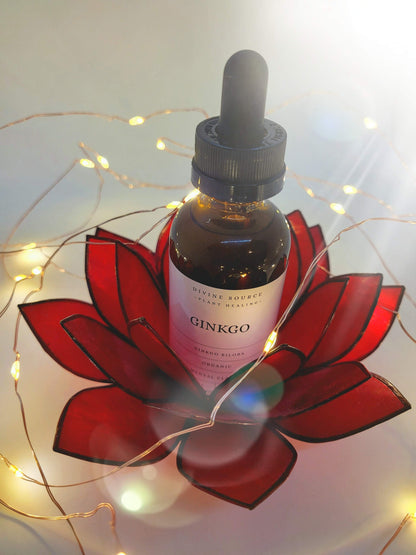 Ginkgo Tincture - Organic