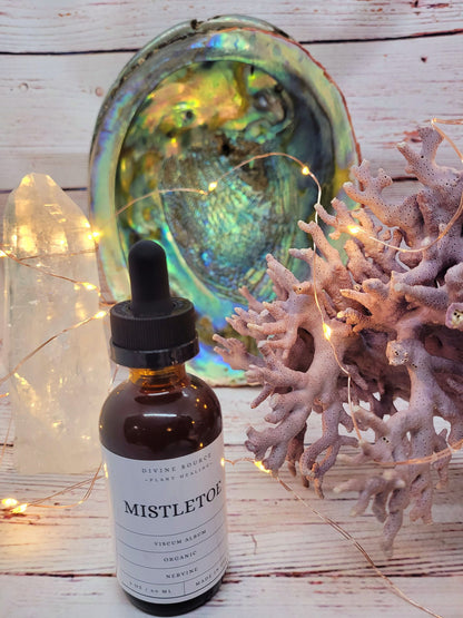 Mistletoe Tincture - Organic