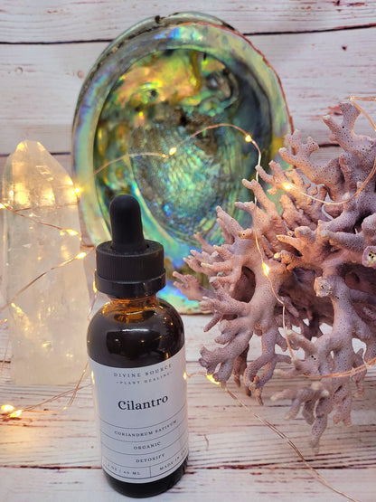 Cilantro Tincture - Organic