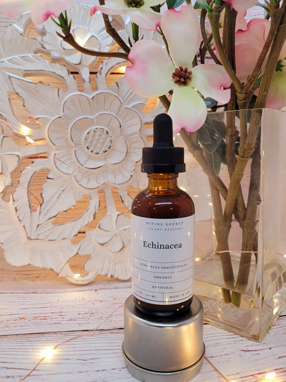 Echinacea Tincture - Organic